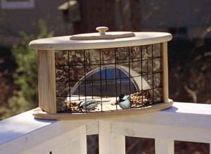 Bird Feeder Deck Idea on Railing Feeder